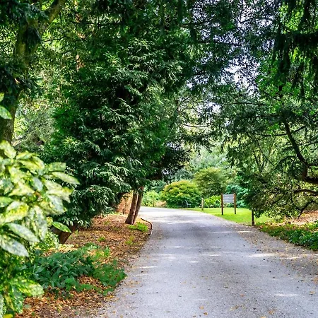 Vakantiehuis Middlethorpe Manor - No 5 Lazy Days And Explore